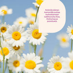 Flow Cosmetics Probioottinen luomukamomillavesi 100ml