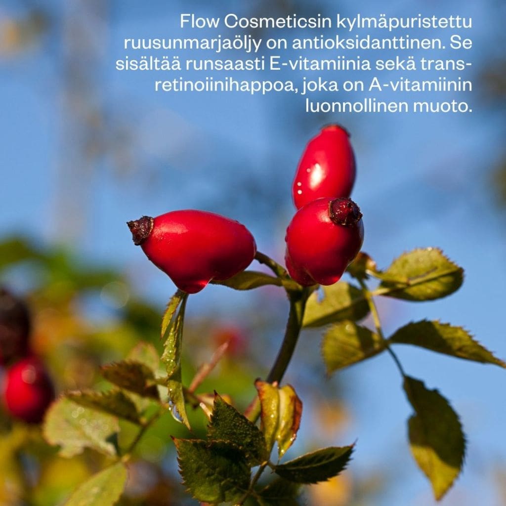Flow Cosmetics Rosehip Intensive Treatment Oil ruusunmarjaöljy 30ml