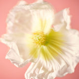 Hajuvesi NUORI Parfum Naturel Midsommer 50ml