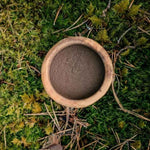 Reconnecting Nature metsäpöly